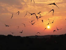 Los Vecinos Ranch - Family and Group Lodging on the Frio River in the Texas Brush Country