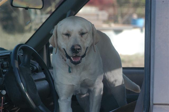 Los Vecinos Ranch - Family and Group Lodging on the Frio River in the Texas Brush Country