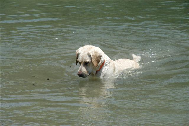 Los Vecinos Ranch - Family and Group Lodging on the Frio River in the Texas Brush Country