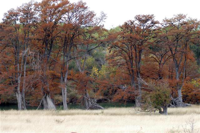 Los Vecinos Ranch - Family and Group Lodging on the Frio River in the Texas Brush Country