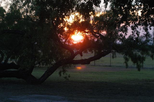 Los Vecinos Ranch - Family and Group Lodging on the Frio River in the Texas Brush Country