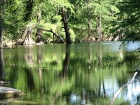 Los Vecinos Ranch - Family and Group Lodging on the Frio River in the Texas Brush Country